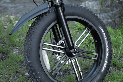 Luckebike Electric Bike